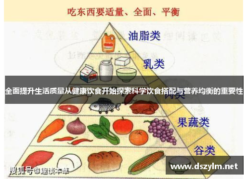全面提升生活质量从健康饮食开始探索科学饮食搭配与营养均衡的重要性