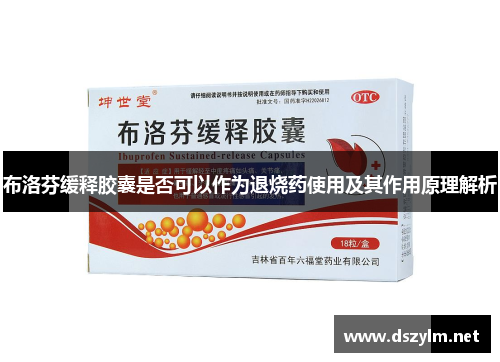布洛芬缓释胶囊是否可以作为退烧药使用及其作用原理解析