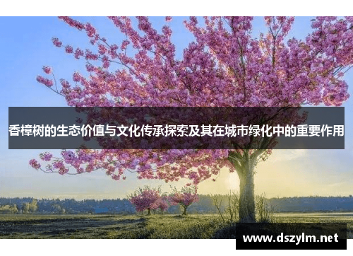 香樟树的生态价值与文化传承探索及其在城市绿化中的重要作用