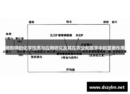 硫酸镁的化学性质与应用研究及其在农业和医学中的重要作用