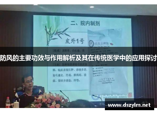 防风的主要功效与作用解析及其在传统医学中的应用探讨